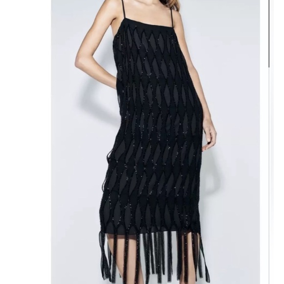NWT ZARA ZW COLLECTION SEQUINNED
DRESS WITH FRINGE SZ M-L - Picture 1 of 11